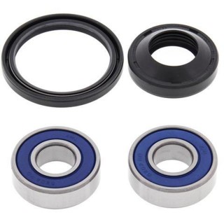 kit rodamientos rueda moto