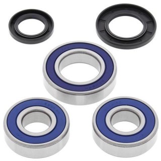 kit rodamientos rueda moto