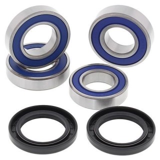 kit rodamientos rueda moto