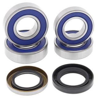 kit rodamientos rueda moto