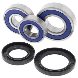 kit rodamientos rueda moto