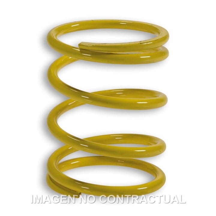 Muelle Malossi