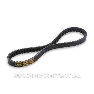 Correa Variador Malossi