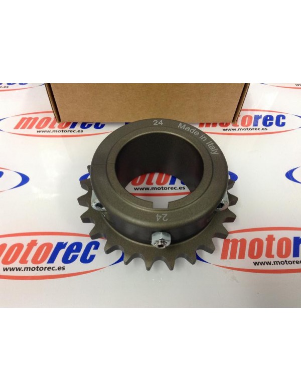 corona ergal paso 428 z24