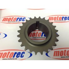 corona ergal paso 428 z24