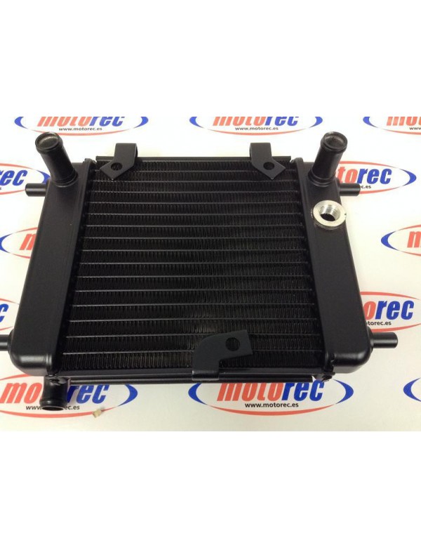 radiador malaguti f18 warrior 125 - 150