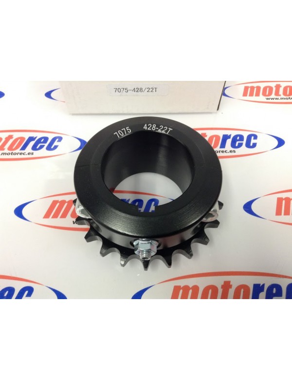 corona ergal 428 z22