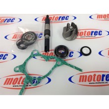 kit bomba agua honda Foresight 250 FES Pantheon 250