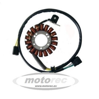 Stator Suzuki DRZ 400 SM