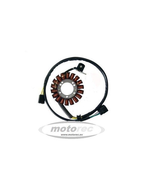 Stator Suzuki DRZ 400 SM