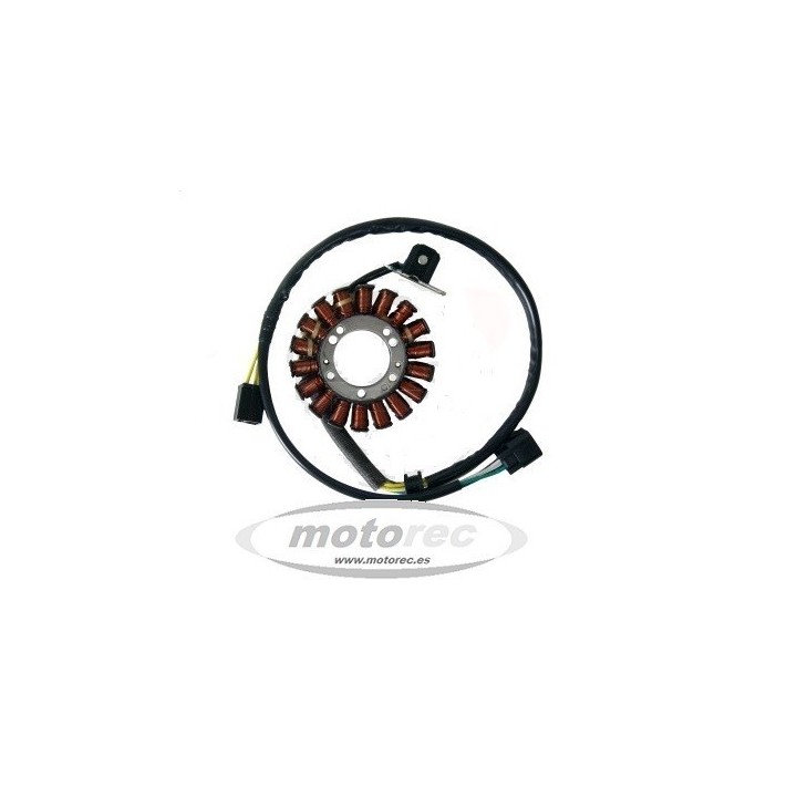 Stator Suzuki DRZ 400 SM