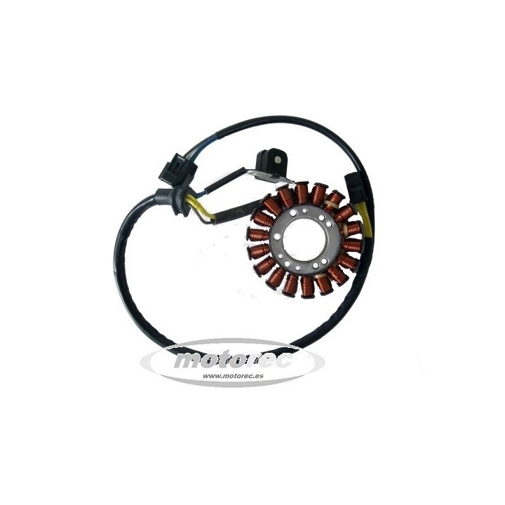 Stator Suzuki DR 400 2000-2003