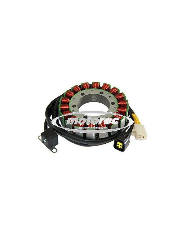 Stator Suzuki DR 650 SE