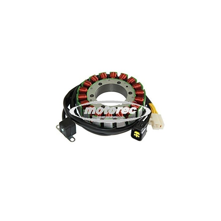 Stator Suzuki DR 650 SE