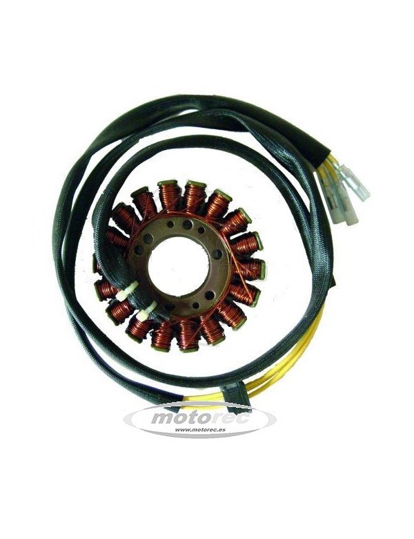 stator suzuki gs 500, yamaha diversion 600