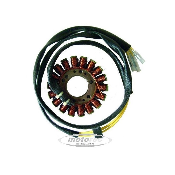 stator suzuki gs 500, yamaha diversion 600