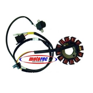 Stator Kymco 125/150/200 4T Carburacion