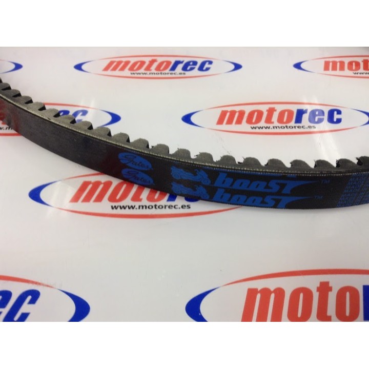 Correa Gates yamaha x max 250, mbk,malaguti