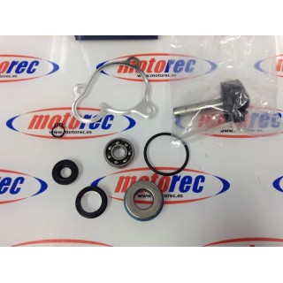 kit bomba agua yamaha x max 250,majesty,aprilia
