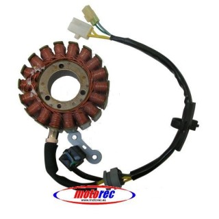 Stator kymco Xciting 250/300,super dink,people