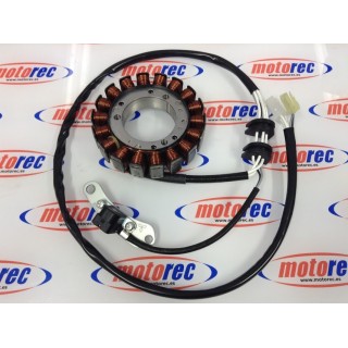 stator Yamaha XVS Drag Star 650 2004-2007