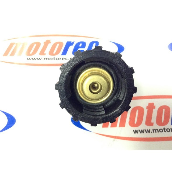 Tapon Radiador plastico