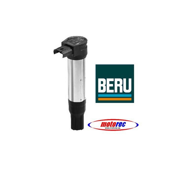 Bobina integrada Beru R1150/1200 GS