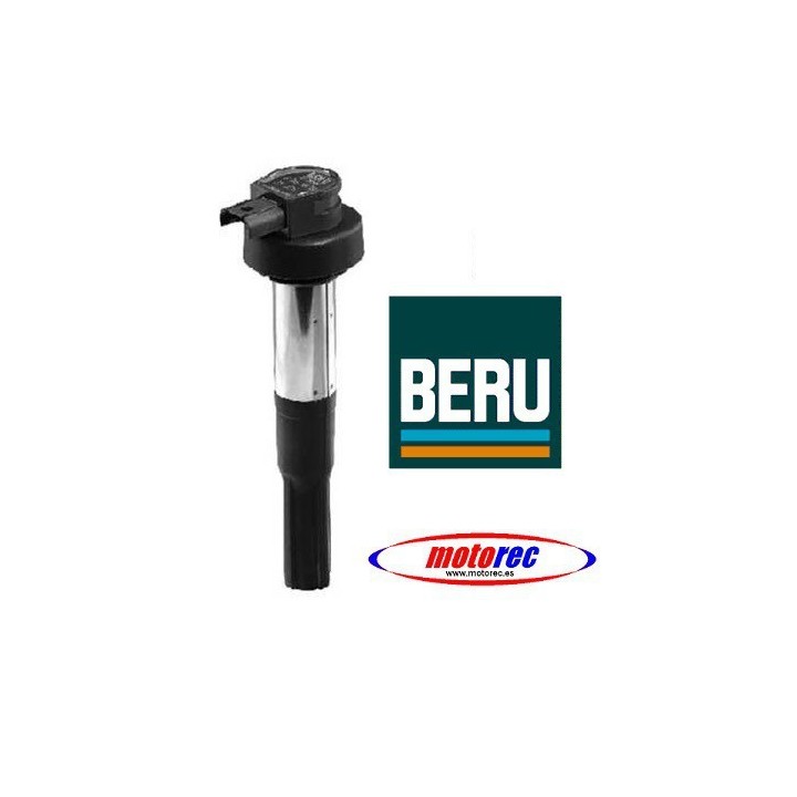 Bobina integrada Beru BMW F650/700/800GS
