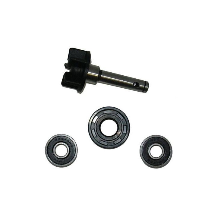 Kit Reparacion Bomba De Agua Motor F.Morini.