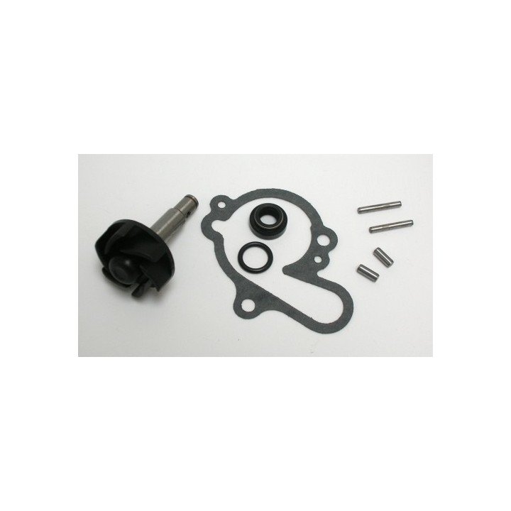 Kit Reparacion Bomba De Agua Minarelli AM6