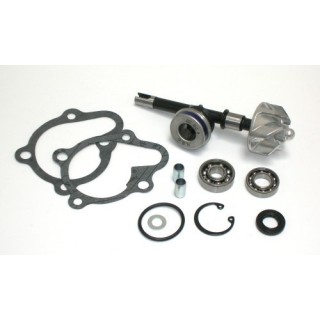 Kit Reparacion Bomba De Agua Kymco B&W 125, Kits Reparacion KYMCO DINK