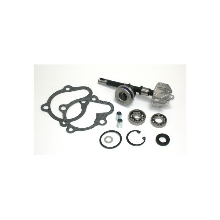 Kit Reparacion Bomba De Agua Kymco B&W 125, Kits Reparacion KYMCO DINK