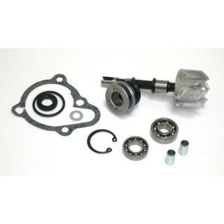 Kits Reparacion Bomba Agua KYMCO GRAND DINK 250
