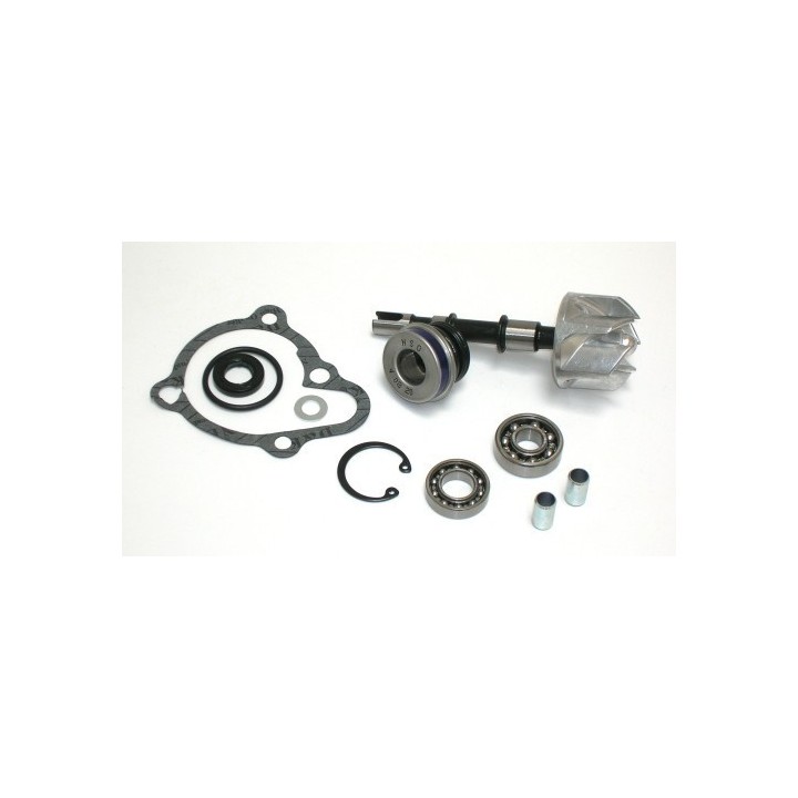 Kits Reparacion Bomba Agua KYMCO GRAND DINK 250