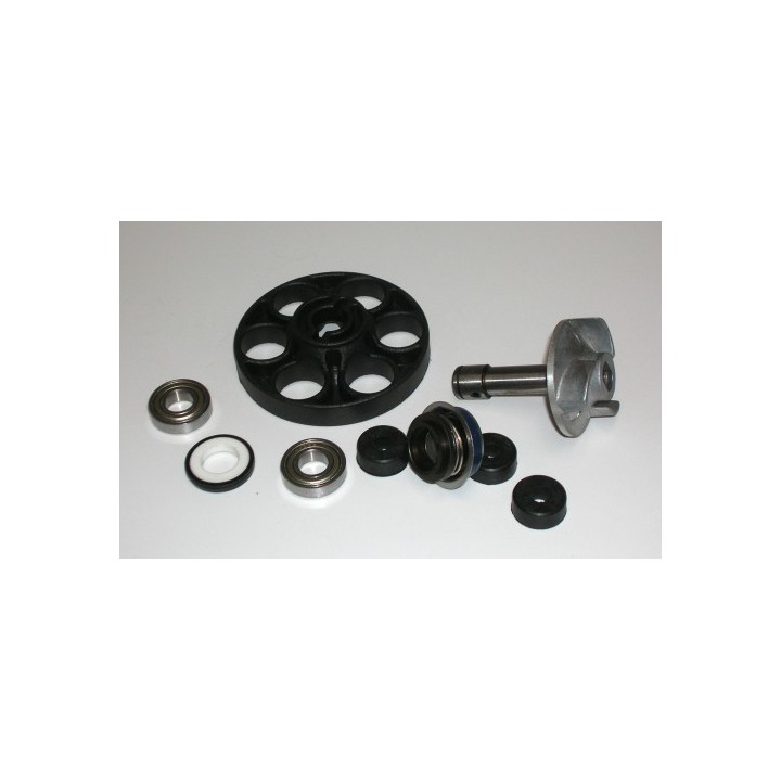 Kits Reparacion Bomba Agua Aprilia SR Ditech 50