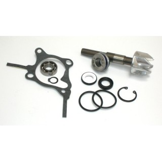 Kits Reparacion Bomba Agua Honda Foresight 250, Jazz 250