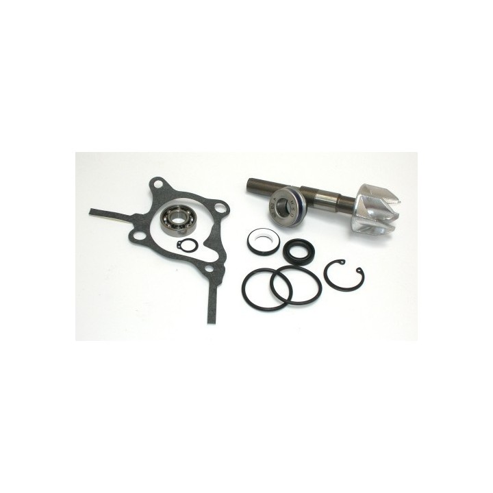Kits Reparacion Bomba Agua Honda Foresight 250, Jazz 250