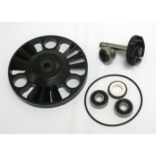 Kit Reparacion Bomba De Agua Piaggio x8 200, X9 180/200