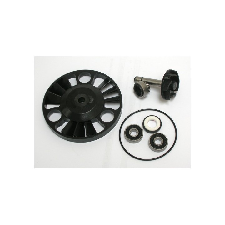 Kit Reparacion Bomba De Agua Piaggio x8 200, X9 180/200