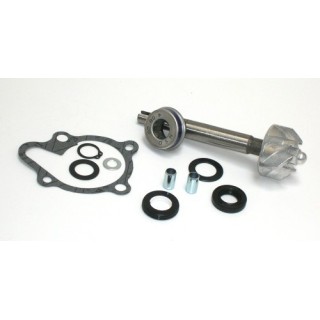 Kit Reparacion Bomba De Agua Kymco Dink 125/200