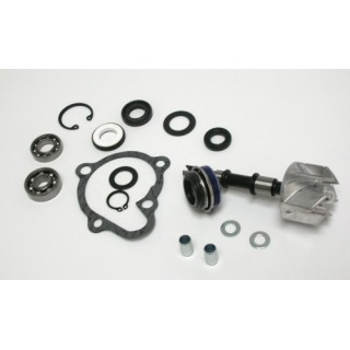 Kit Reparacion Bomba De Agua Kymco Xciting 250
