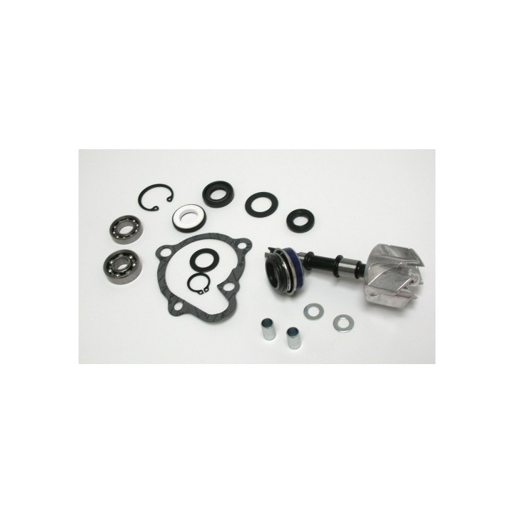 Kit Reparacion Bomba De Agua Kymco Xciting 250