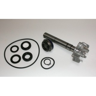 Kit Reparacion Bomba De Agua Kymco Xciting 500