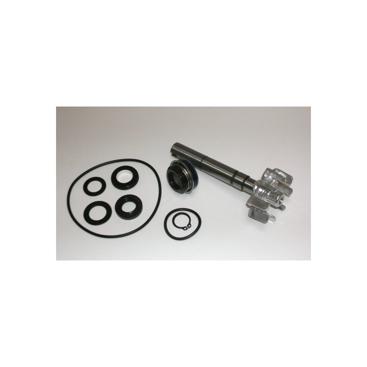 Kit Reparacion Bomba De Agua Kymco Xciting 500