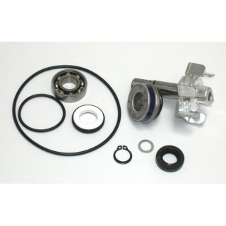 Kit Reparacion Bomba De Agua T-Max 500 (01-03)