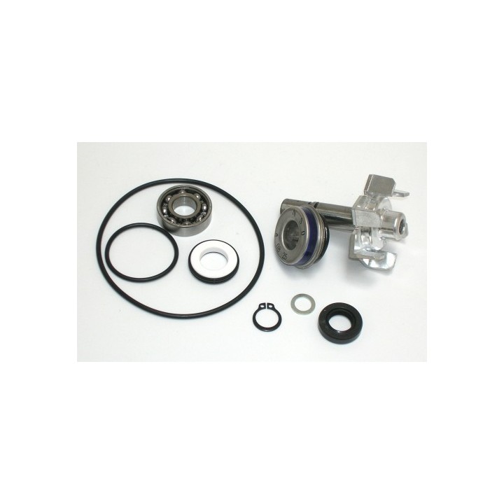 Kit Reparacion Bomba De Agua T-Max 500 (01-03)