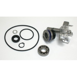 Kit Reparacion Bomba De Agua T-Max 500 (04-11)