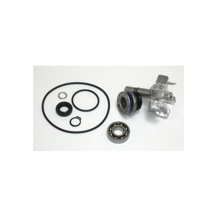 Kit Reparacion Bomba De Agua T-Max 500 (04-11)