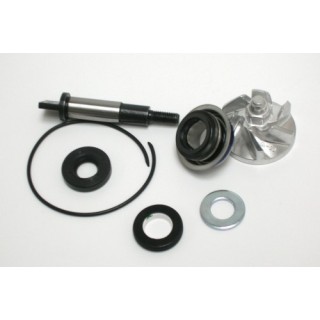 Kit Reparacion Bomba Agua Honda SH300, NSS Forza 300