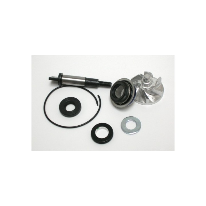 Kit Reparacion Bomba Agua Honda SH300, NSS Forza 300
